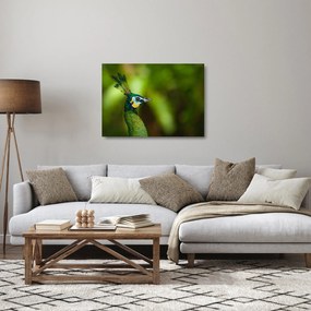 Tablou pe sticlă cu păun (70x50 cm)
