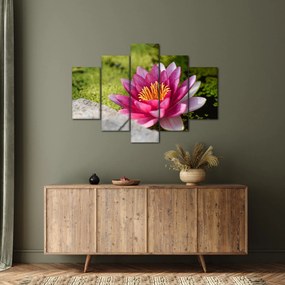 Tablou - Lotus (150x105 cm)