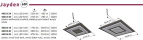 Plafoniera LED design decorativ JAYDEN 50W