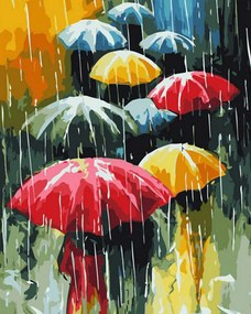 Pictura pe numere cu un cadru "Ploaia" 50x40 cm