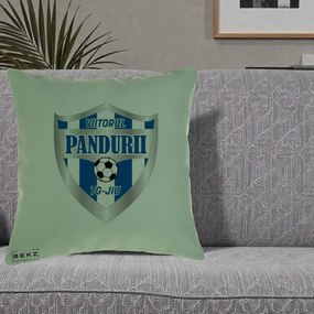 Perna Personalizata Pandurii Targu Jiu Fotbal, 40x40 cm, Verde, Husa Detasabila, Perna Inclusa, BEKZ®