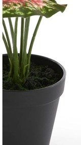Plantă artificială (înălțime 40 cm) Caladium – Light &amp; Living