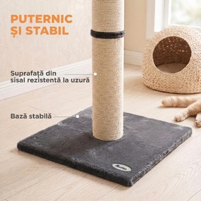 PawHut Ansamblu de Zgâriat Ușor pentru Pisici, 80 cm, cu Frânghie din Sisal, Bază din PAL și Pluș, Gri Închis | Aosom Romania