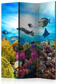Paravan - Coral reef [Room Dividers]