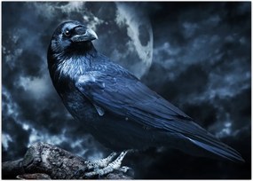 Tablou - Corbul (70x50 cm)