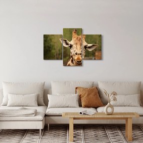 Tablou girafe (90x60 cm)