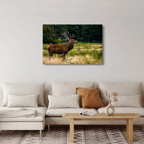 Tablou cu cerb (90x60 cm)