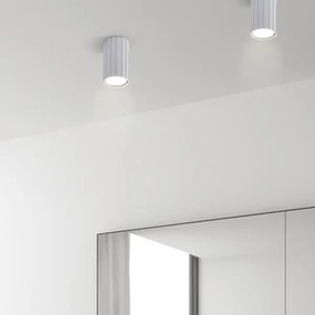 Brilagi - Spot CRISPINA 1xGU10/10W/230V 10 cm alb