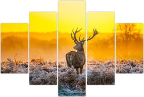 Tablou - Cerb la răsăritul soarelui (150x105 cm)