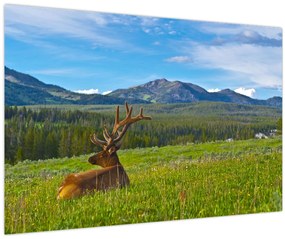 Tablou - Cerb în luncă (90x60 cm)