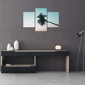 Tablou - Palmier la Bali (90x60 cm)