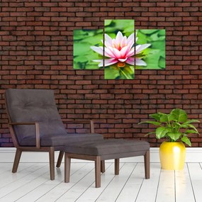 Tablou - Nuferi pe apă (90x60 cm)