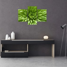 Tablou - Imagine macro a unei plante (90x60 cm)