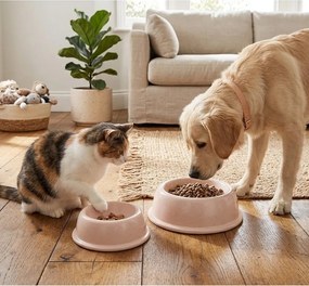 Bol pentru animale pentru animale de companie din gresie ceramică ø 16 cm – Casafina