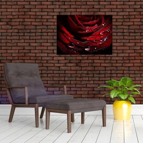 Tablou - Trandafir (70x50 cm)