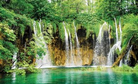 Fototapet - Natura (254x184 cm)