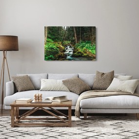 Tablou cu pârău în pădure (90x60 cm)