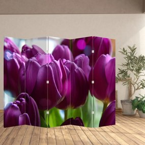 Paravan - Lalele (210x170 cm)