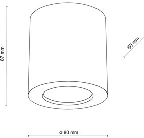 Spot EVE 1xGU10/10W/230V fag