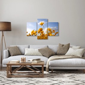 Tablou - Câmp cu flori galben deschis (90x60 cm)