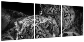 Tablou - Gheparzi care se odihnesc (cu ceas) (90x30 cm)