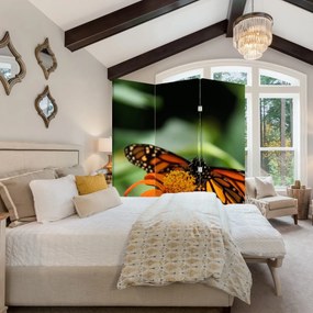 Paravan - Fluture pe floare (126x170 cm)