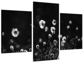 Tablou - Pajiște cu iarbă de cozonac N⁰1 (90x60 cm)