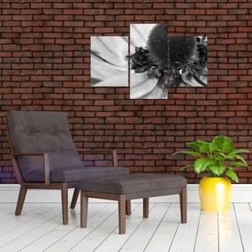 Tablou - Floare în alb-negru (90x60 cm)