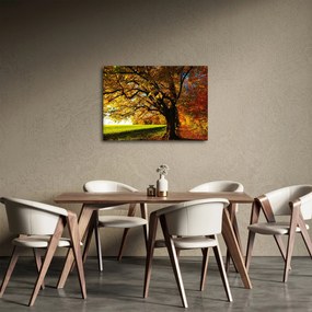 Tablou cu toamna (70x50 cm)