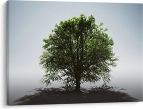 Tablou - Copacul singuratic (70x50 cm)