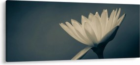 Tablou cu flori (120x50 cm)
