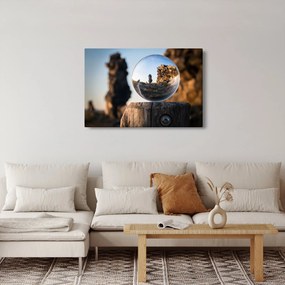 Tablou cu lupa și peisaj (90x60 cm)