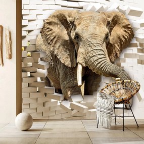 Fototapet - Elefant spărgând perete (147x102 cm)
