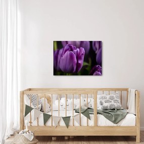 Tablou cu flori de lalele (70x50 cm)