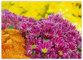 Tablou pe sticlă cu floarea roz (70x50 cm)