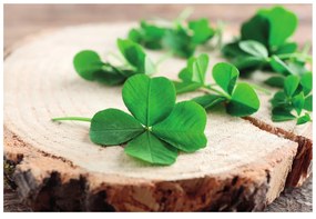 Fototapet autoadeziv trifoi cu patru foi verzi