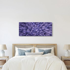 Tablou cu copacii înzăpeziți (120x50 cm)