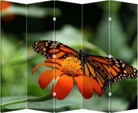 Paravan - Fluture pe floare (210x170 cm)