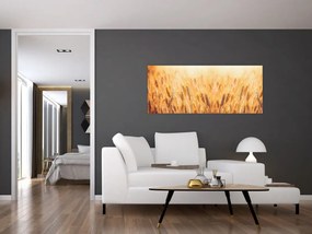 Tablou - câmp cu grâne (120x50 cm)