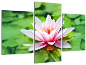 Tablou - Nuferi pe apă (90x60 cm)