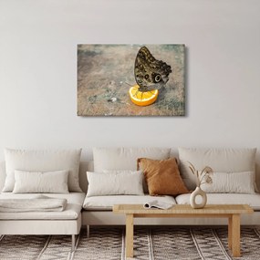 Tablou cu fluturi (90x60 cm)