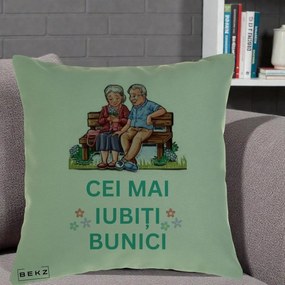 Cadou pentru Bunici - Perna Personalizata Cei Mai Iubiti Bunici Cuplu pe Banca Ilustratie, 40x40 cm, Verde, Husa Detasabila, Perna Inclusa, BEKZ®
