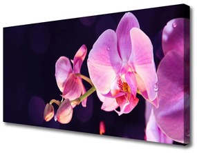 Tablou pe panza canvas Flori Floral Roz Violet