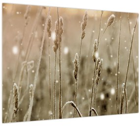 Tablou - Pajiște armonioasă (70x50 cm)