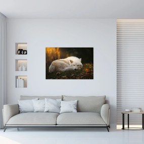 Tablou - Lupul care se odihnește (90x60 cm)