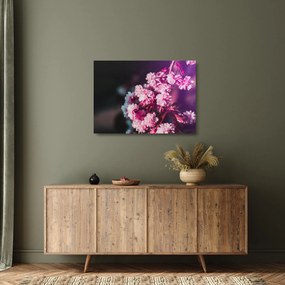 Tablou pe sticlă cu florile copacilor (70x50 cm)