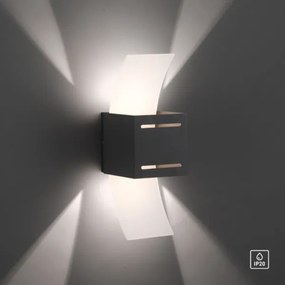 Aplică Paul Neuhaus 9007-13 ORMA 1xG9/40W/230V negru