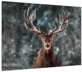 Tablou - Cerbul majestic (70x50 cm)