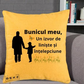 Cadou pentru Bunic - Perna Personalizata Bunicul Meu Izvor de Liniste cu Fluture si Baietel, 40x40 cm, Galben, Husa Detasabila, Perna Inclusa, BEKZ®