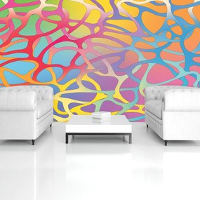 Fototapet - Ornament abstract (152,5x104 cm)